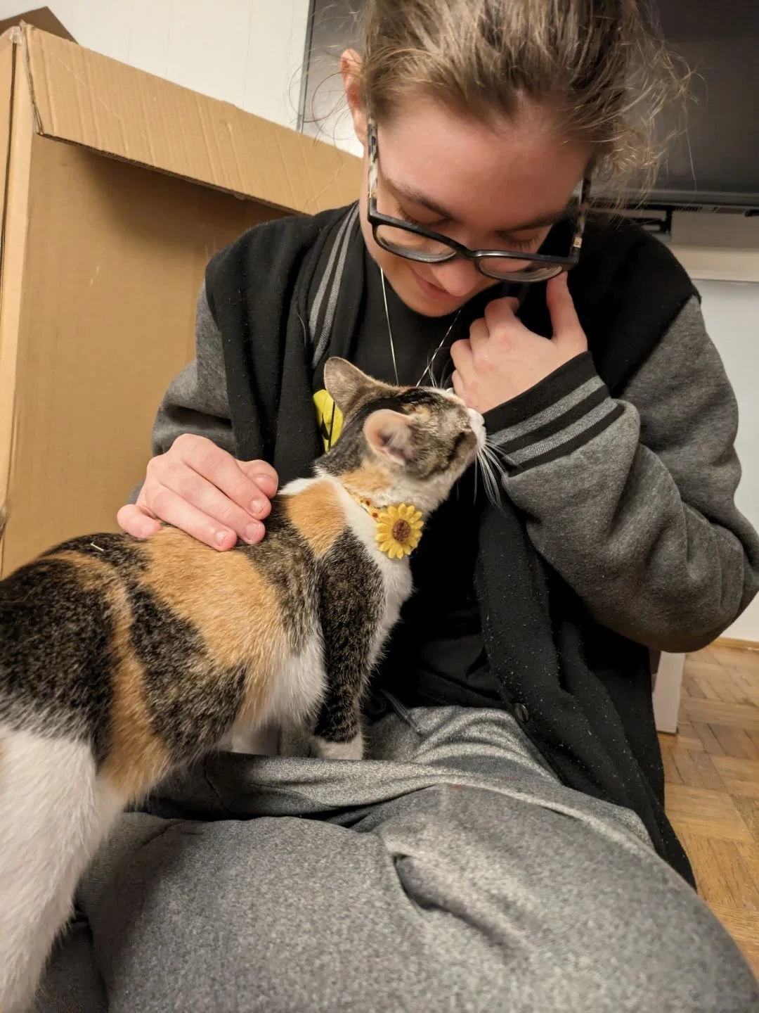 Mollie wearing a black and gray jacket gently petting a calico cat wearing a sunflower collar, both enjoying each other's company.
