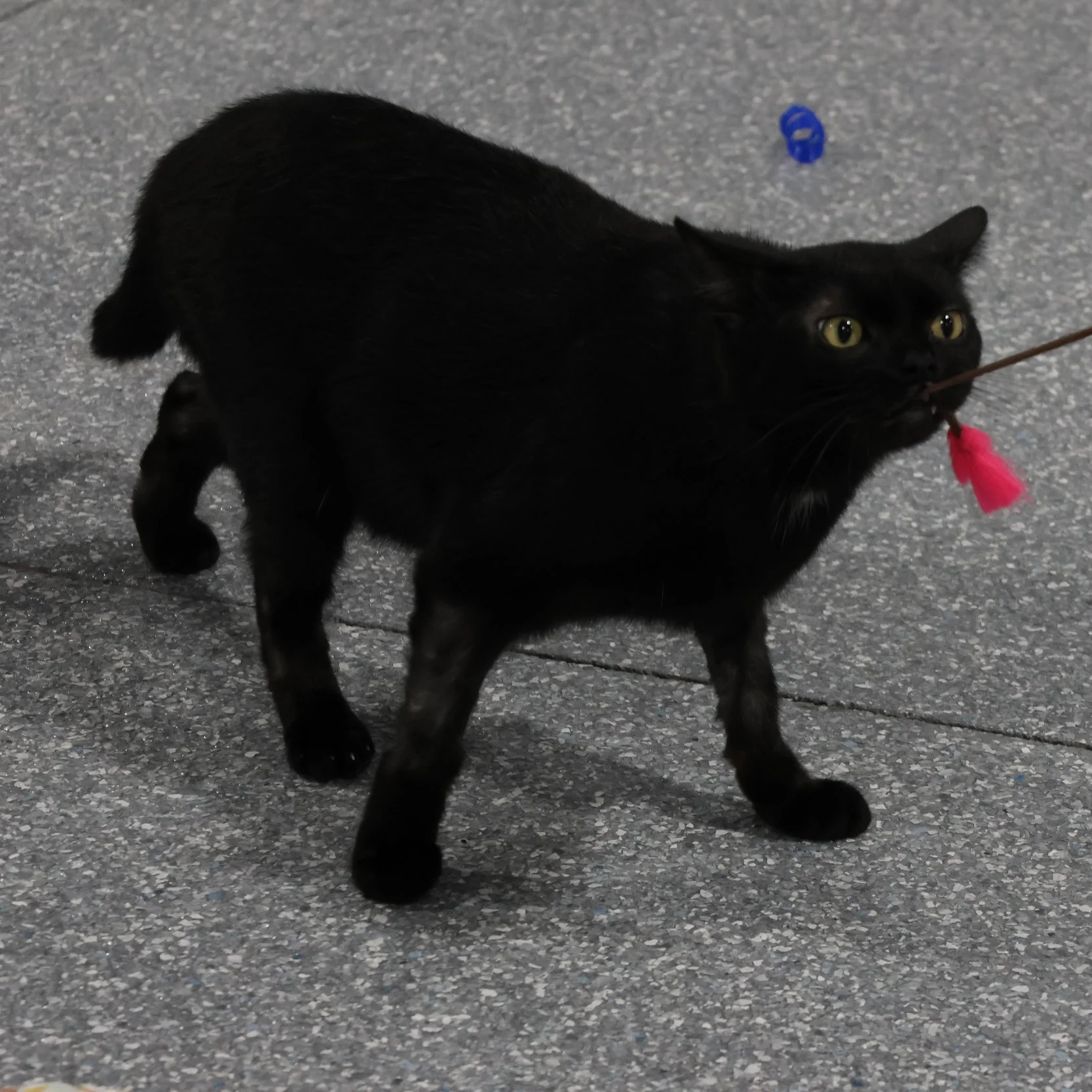 2A7A4791.png