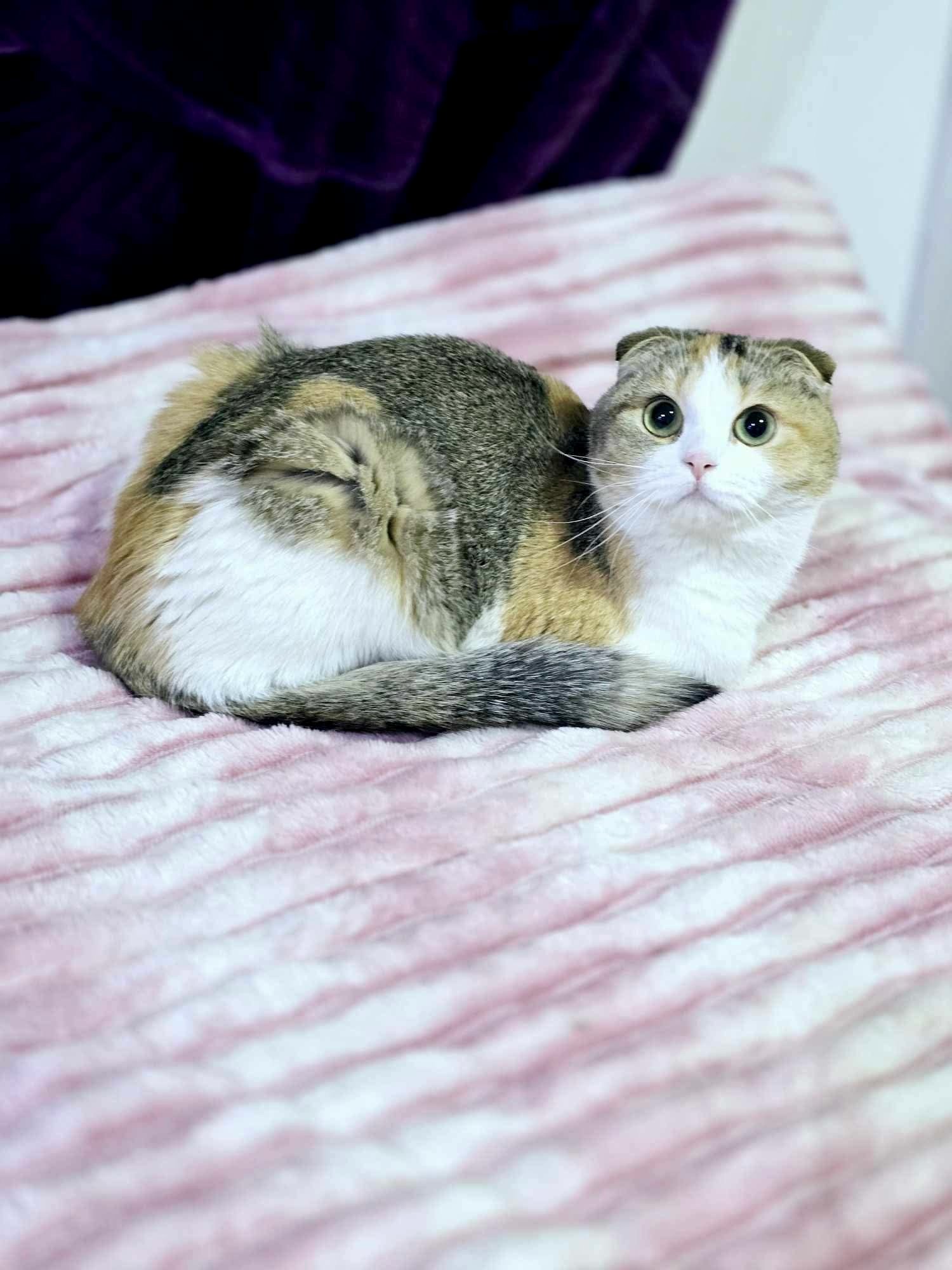 Julia looking up from a blanket