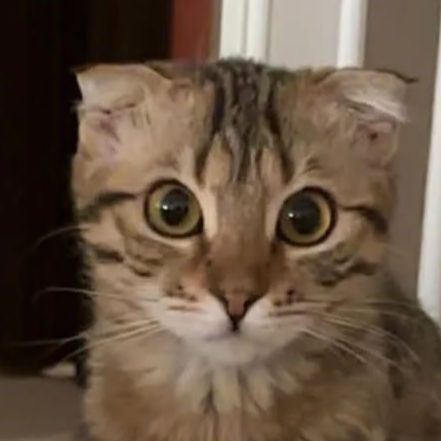 Nervana - Accepting Applications