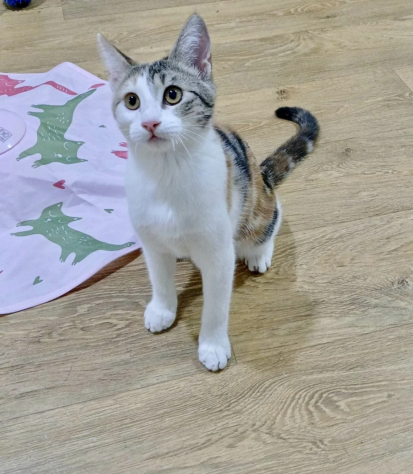 c4192a9f-ae07-44a9-a30b-d4939b7c59c3 (1).jpg