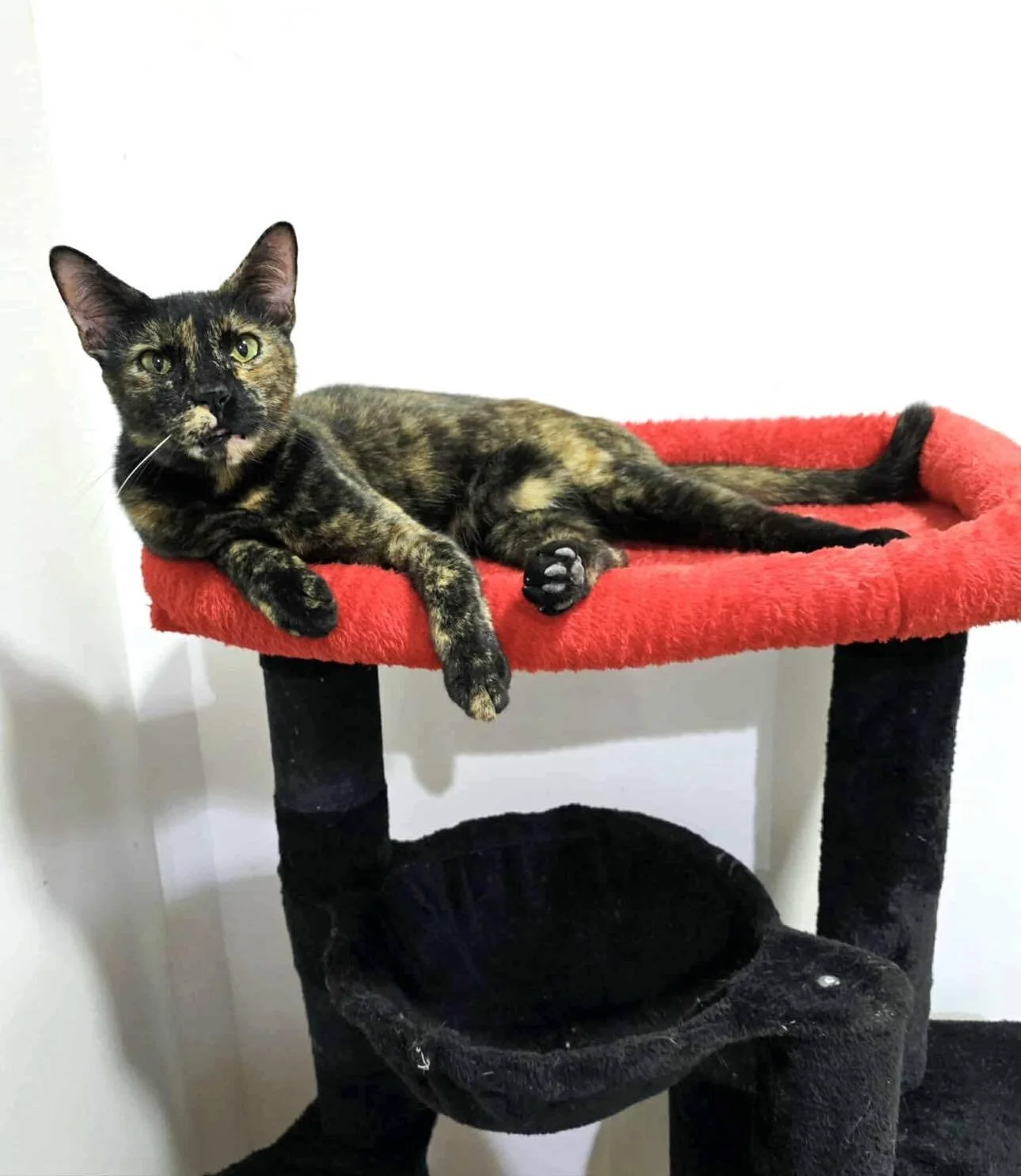 605923527_905407128726365_9103975005166303144_n (1).jpg