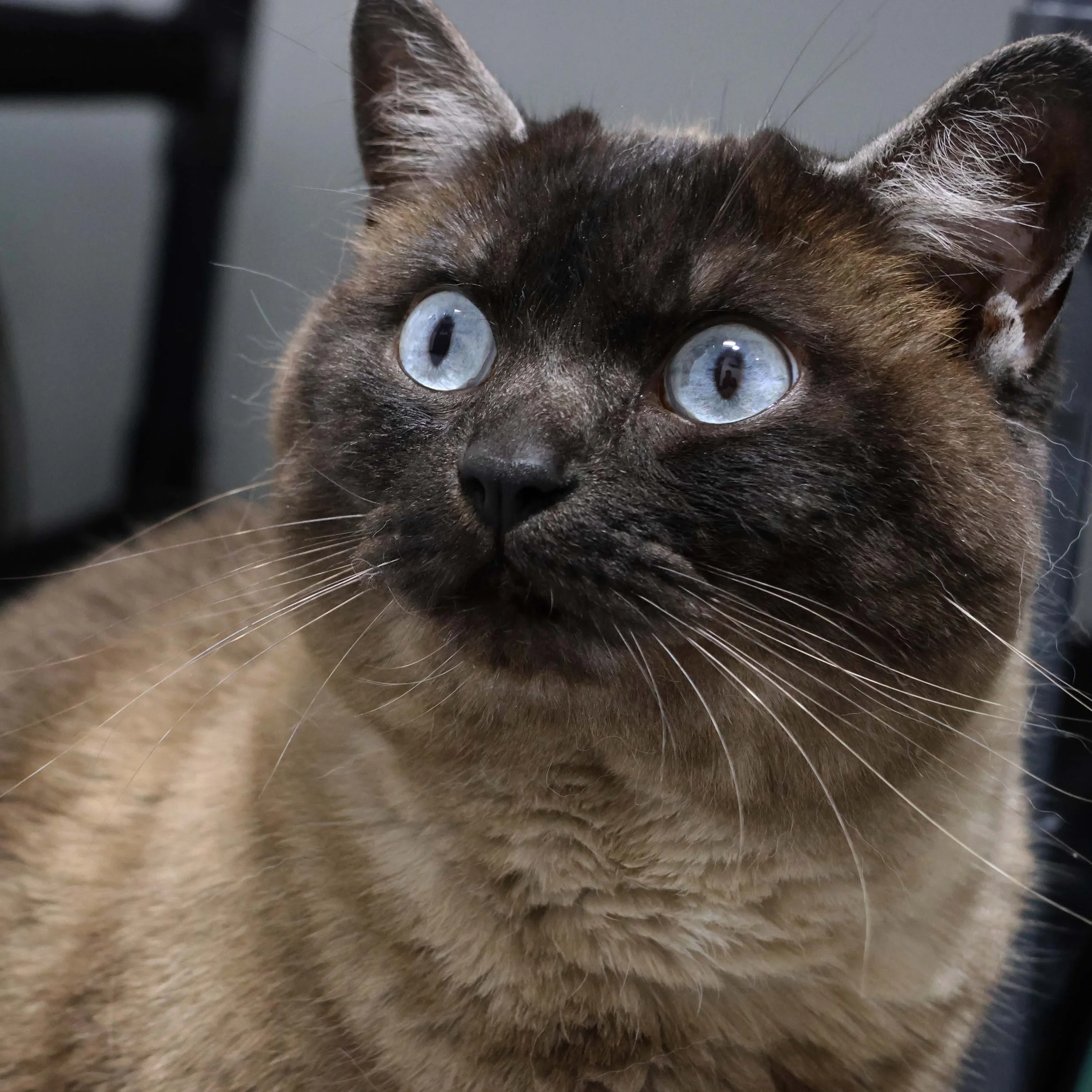 Duncan 6.jpg