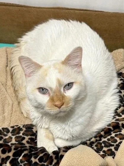 Casper - Accepting Applications