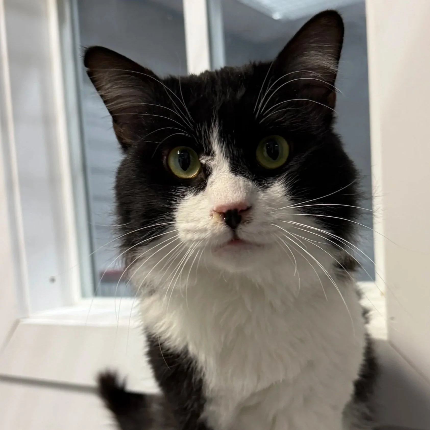 Cosmic - Accepting Applications