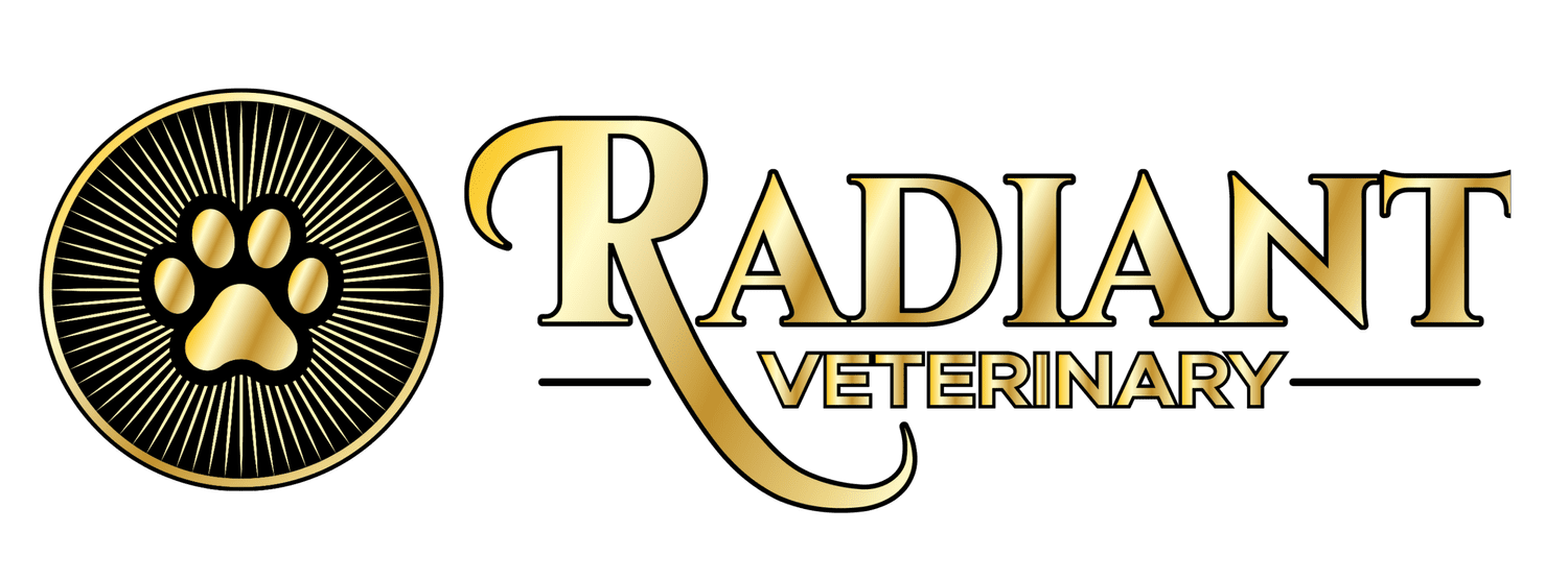 Radiant Veterinary | Pet Care Excellence - Book Now
