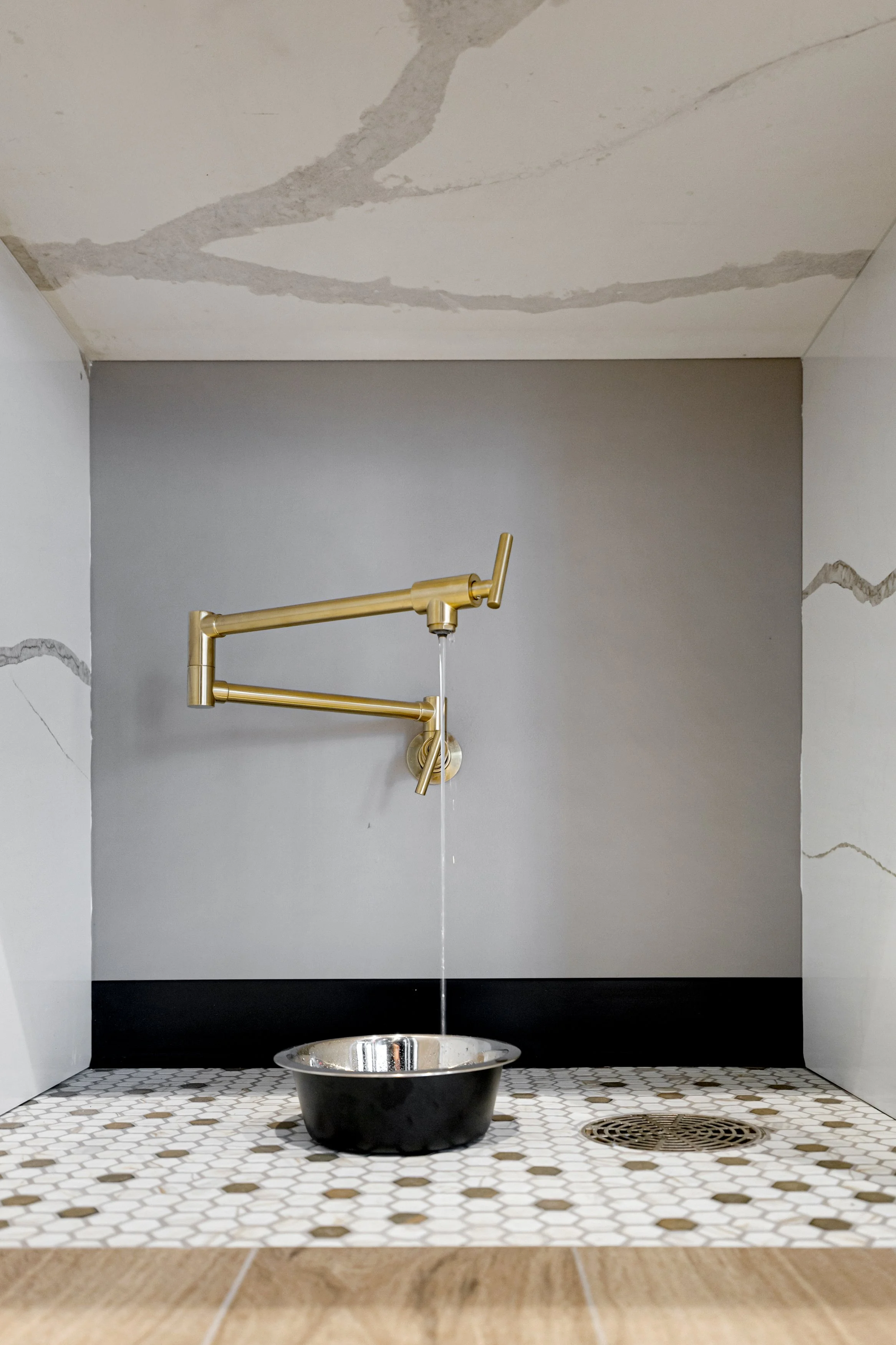 IMG_2131.JPG