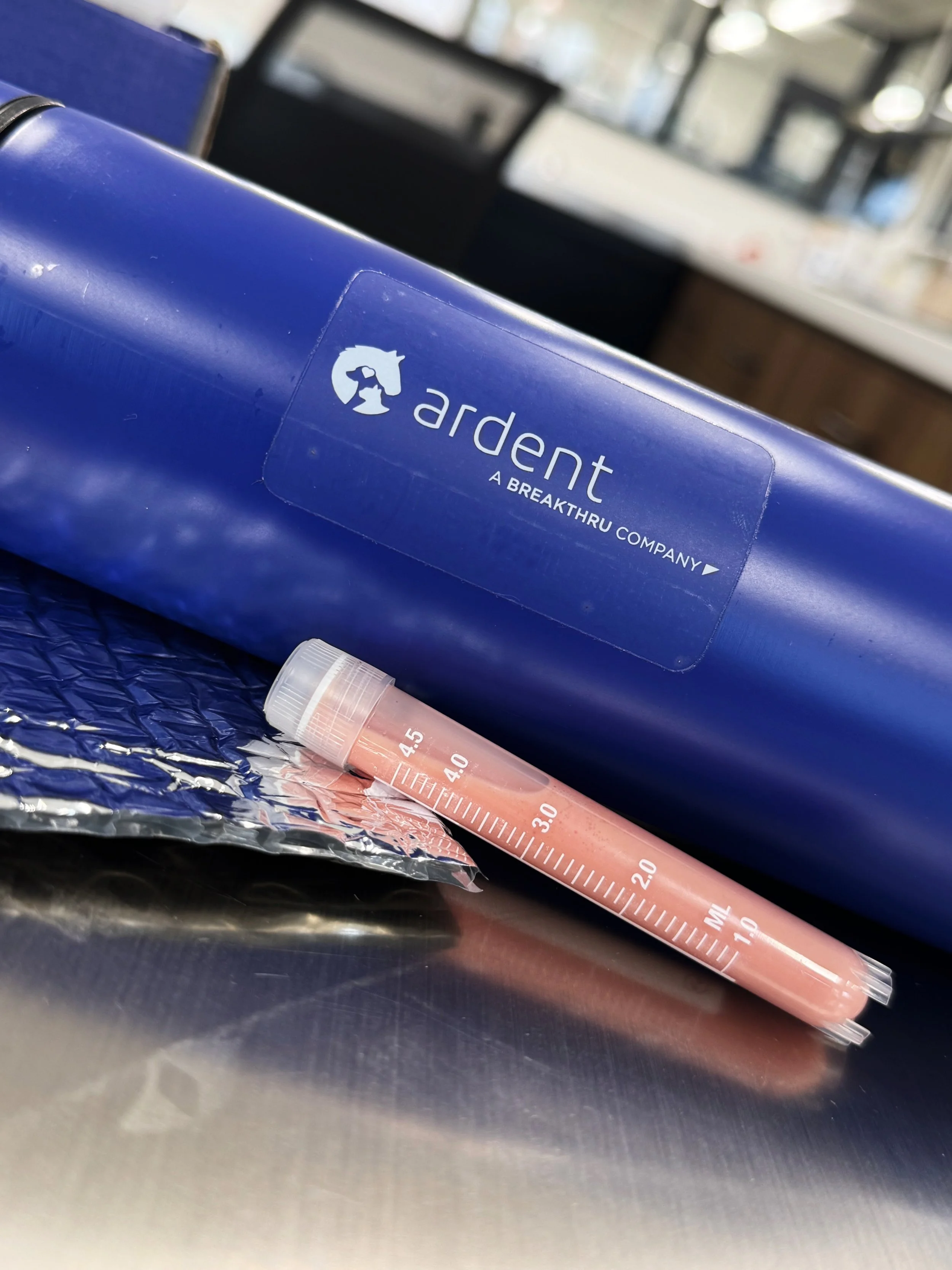 Blue tube with label saying Ardent a breakthru company with tube containing spun down blood stem cells next to silver packaging material
