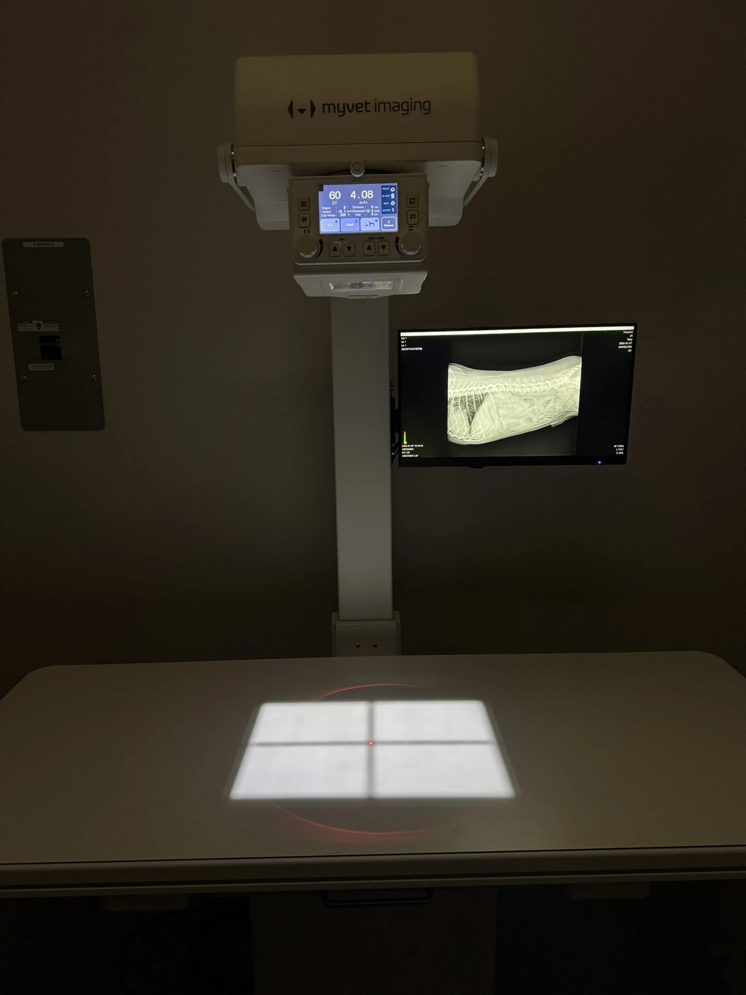 Digital Radiographs