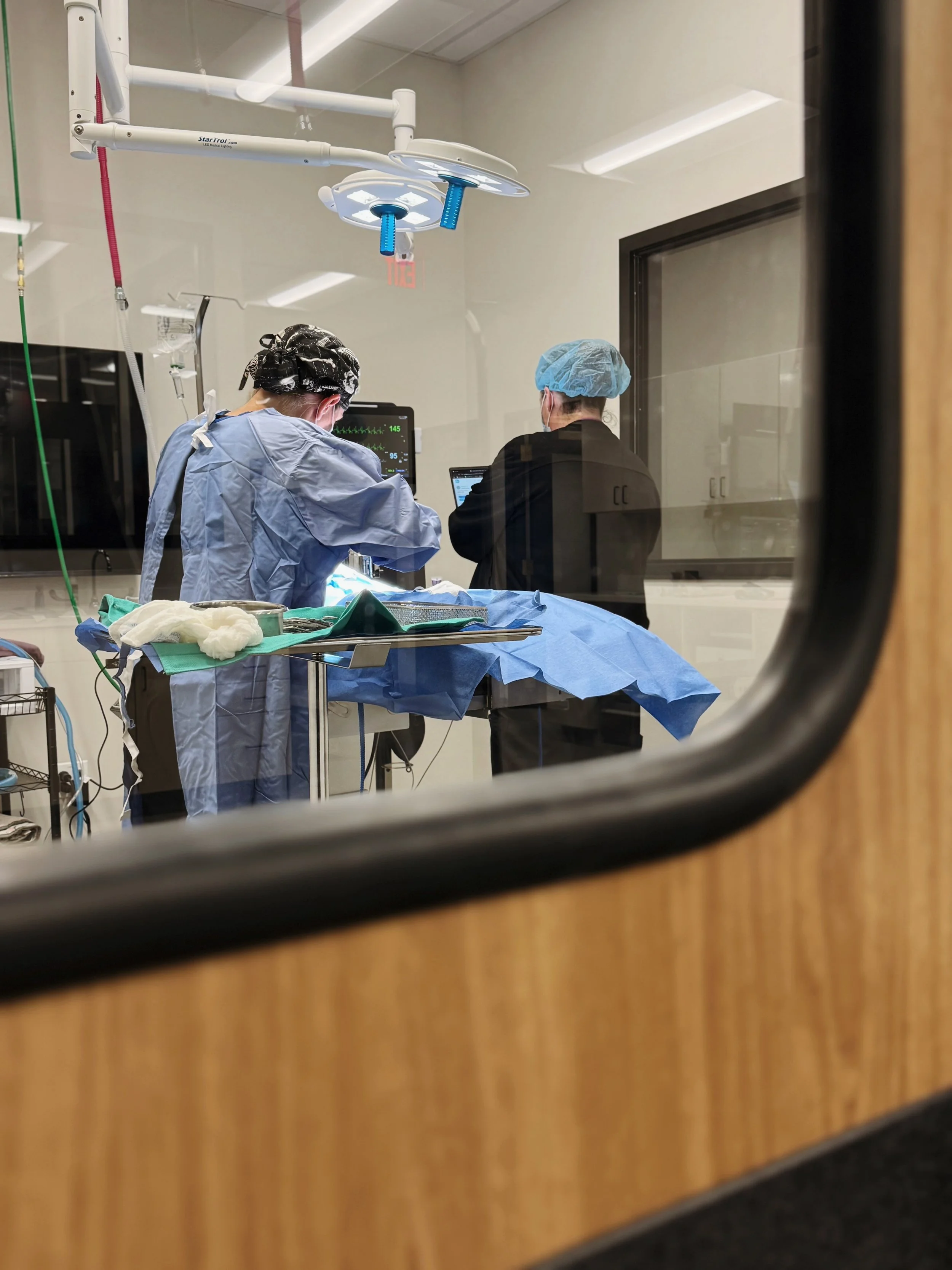 Dr. BreAnne Losik with Kathleen in surgery operating room performing a spay procedure with bright lights in a blue surgical gown