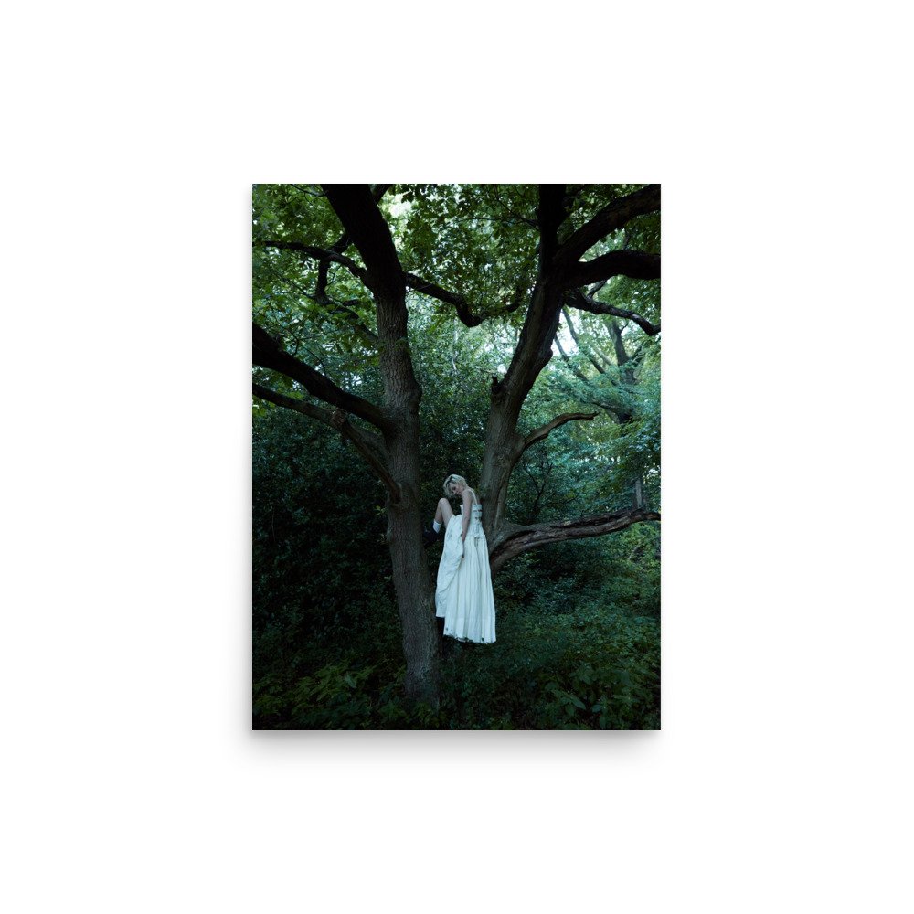 enhanced-matte-paper-poster-(in)-12x16-front-675b32b218d98.jpg