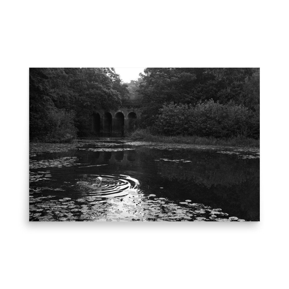 enhanced-matte-paper-poster-(in)-24x36-front-675b35b0e16ff.jpg