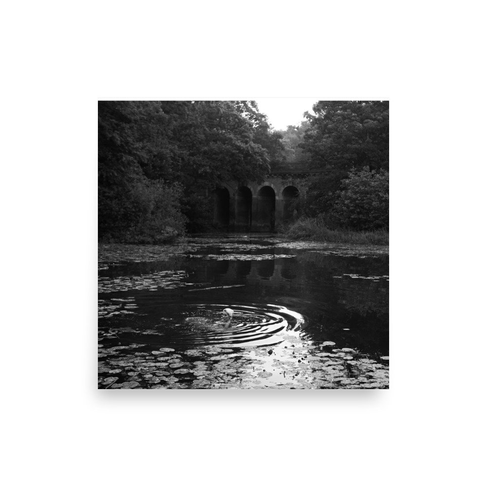 enhanced-matte-paper-poster-(in)-10x10-front-675b35b0e2aa5.jpg
