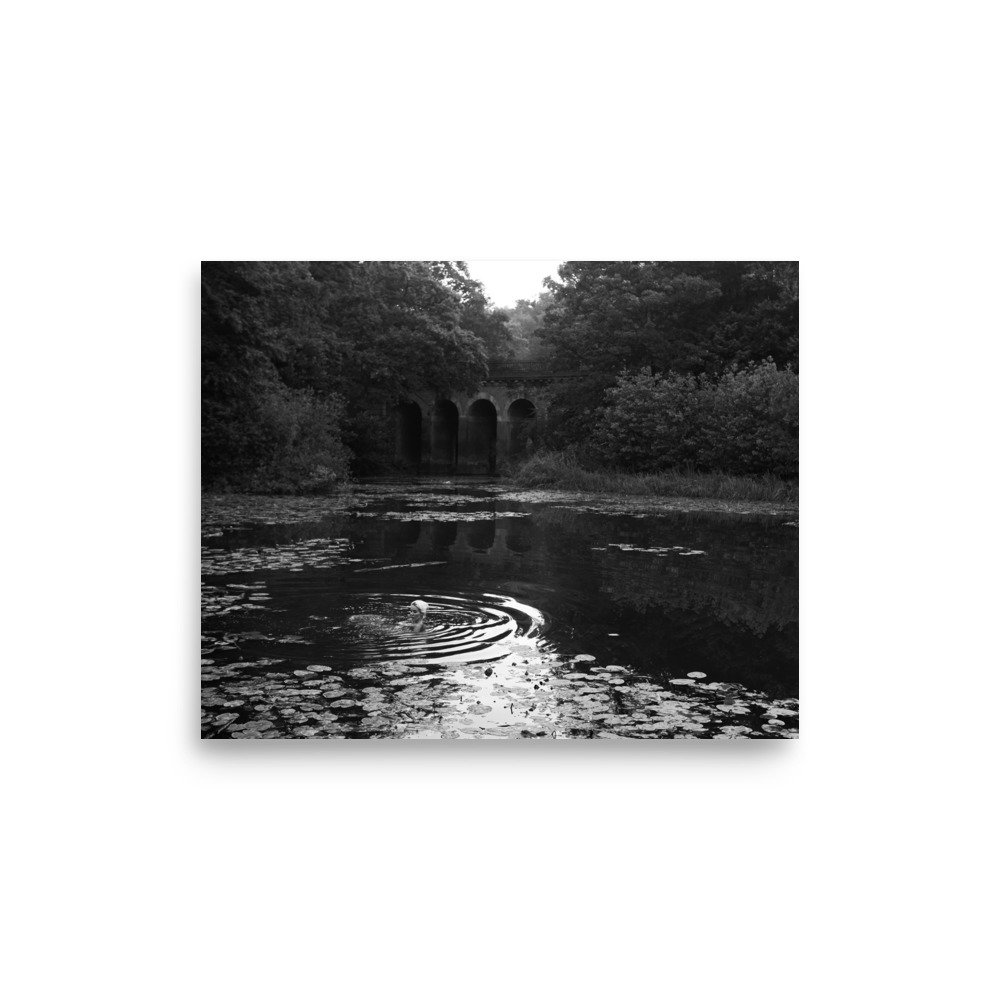 enhanced-matte-paper-poster-(in)-8x10-front-675b35b0e3635.jpg