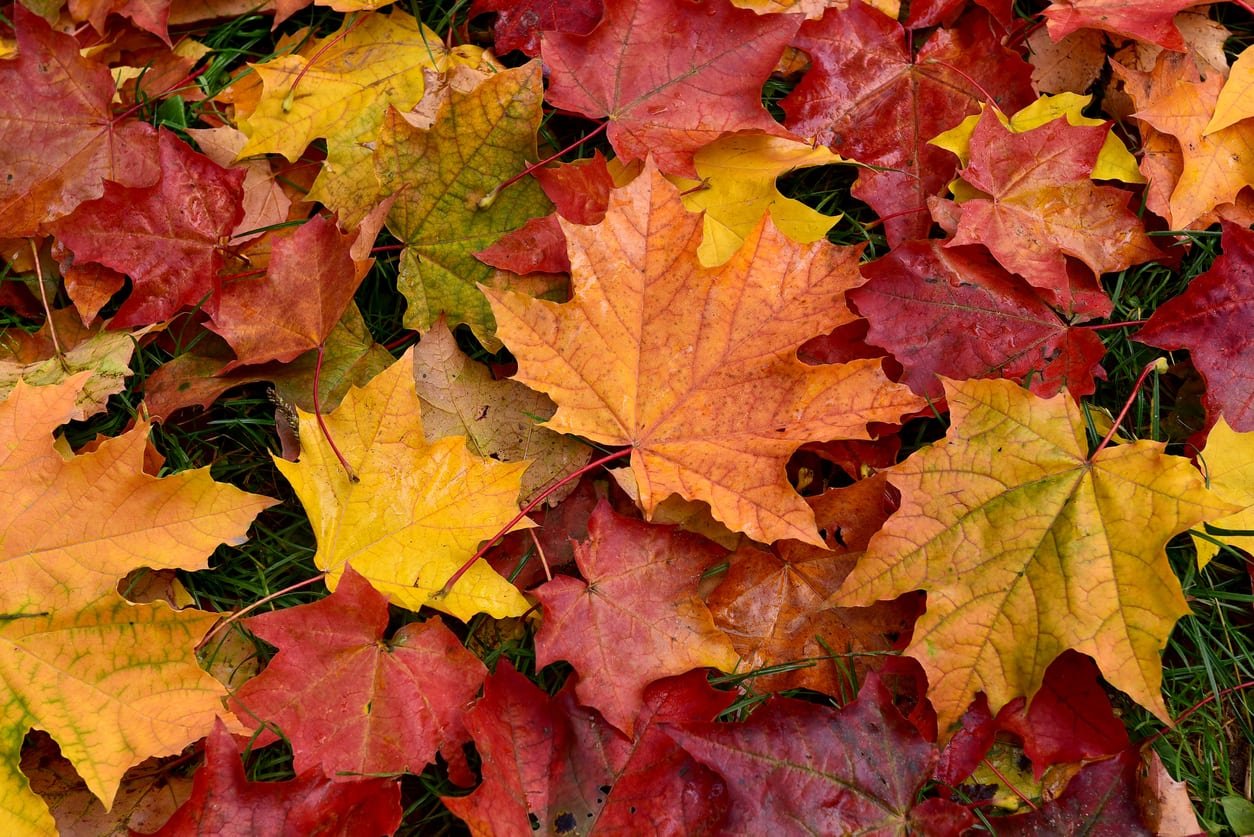 Fall Technical Meeting Package
