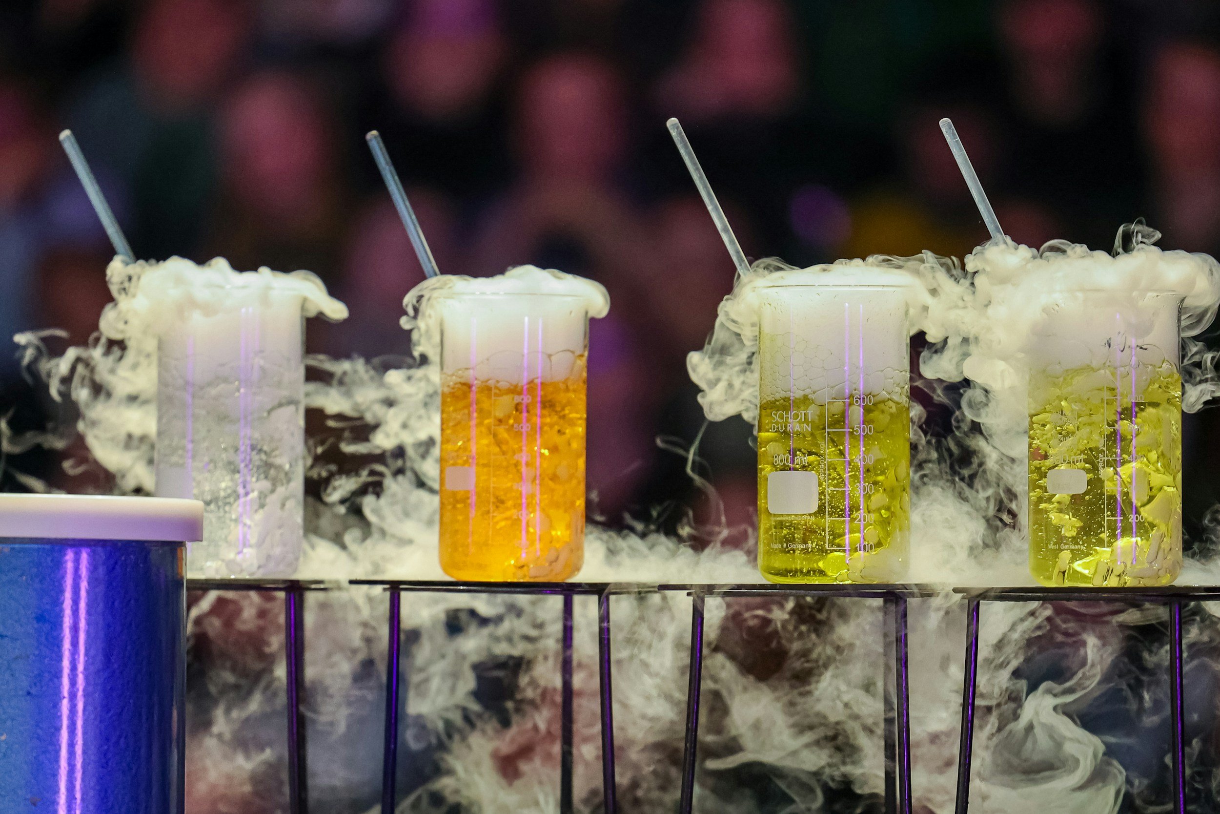 IJAS Region 2 Science Fair Special Awards 2026