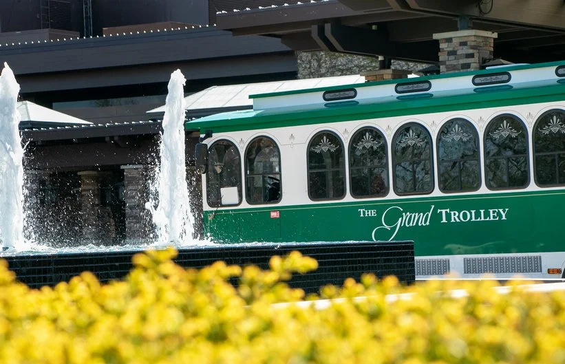 821X529-trolley821529.jpg
