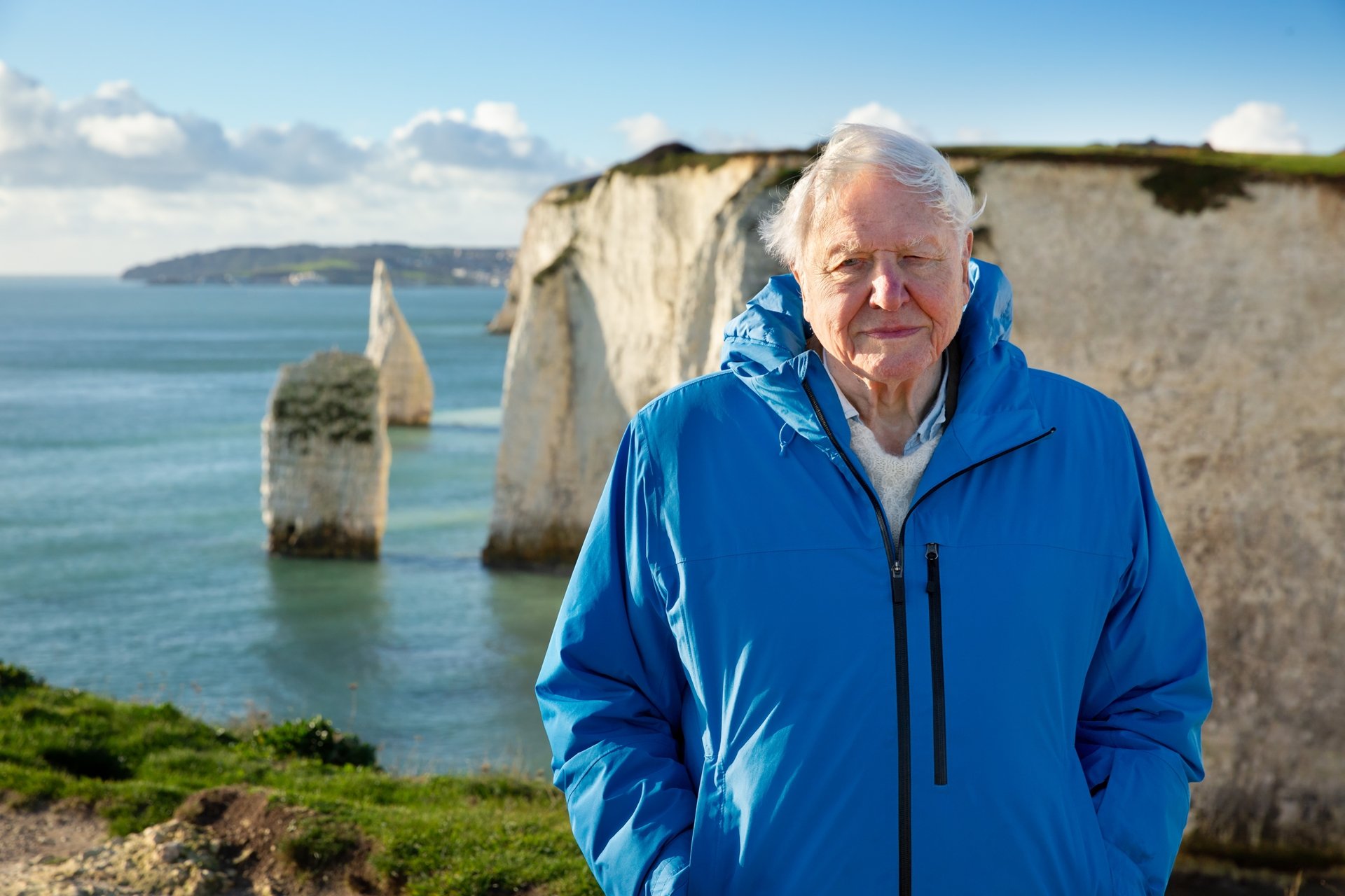 Poseidon’s final boon: What David Attenborough’s Ocean taught us
