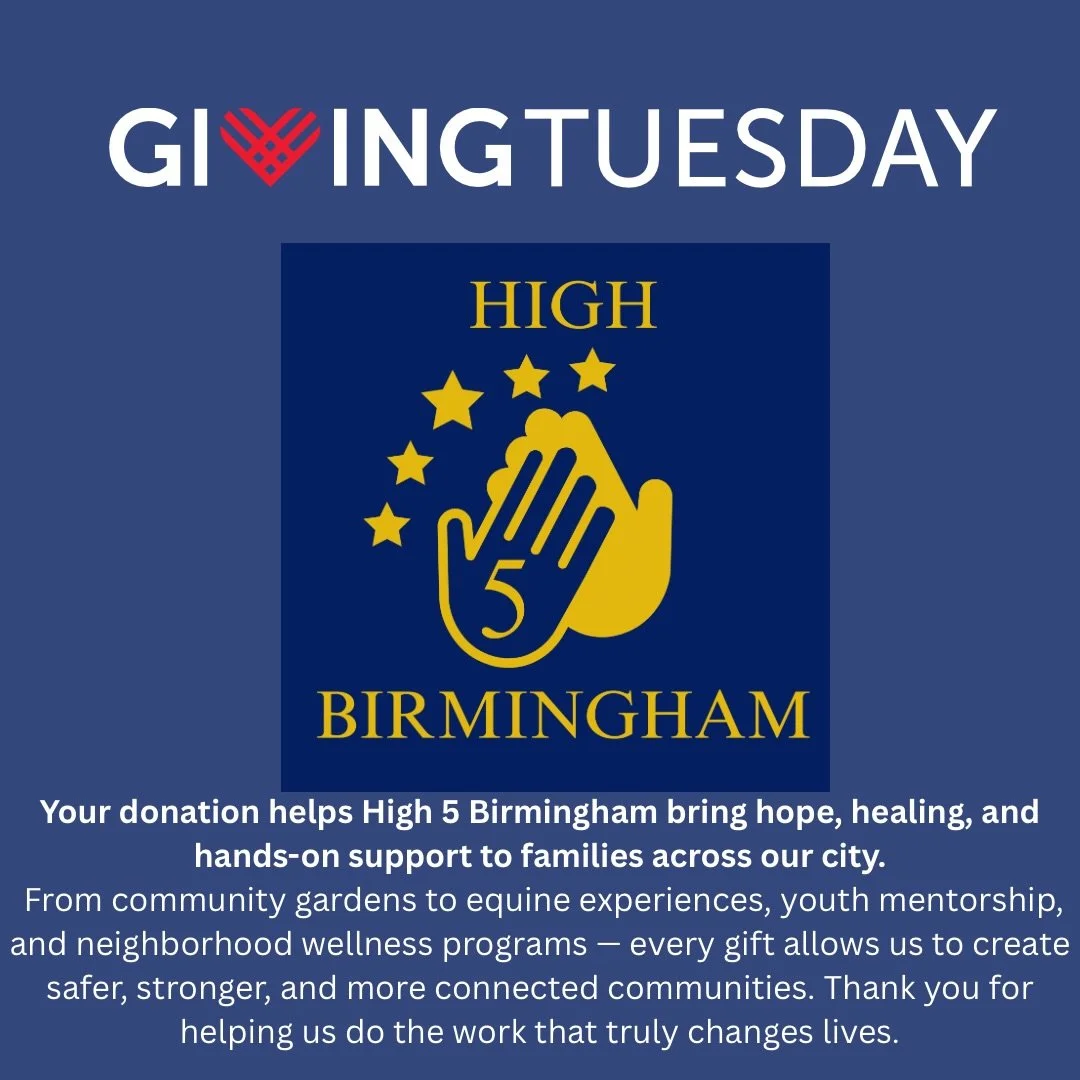 We are committed to continuing the good works of High 5 Birmingham in and around our great city. Your donation helps us continue forward! #givingtuesday 

LINK IN BIO TO GIVE