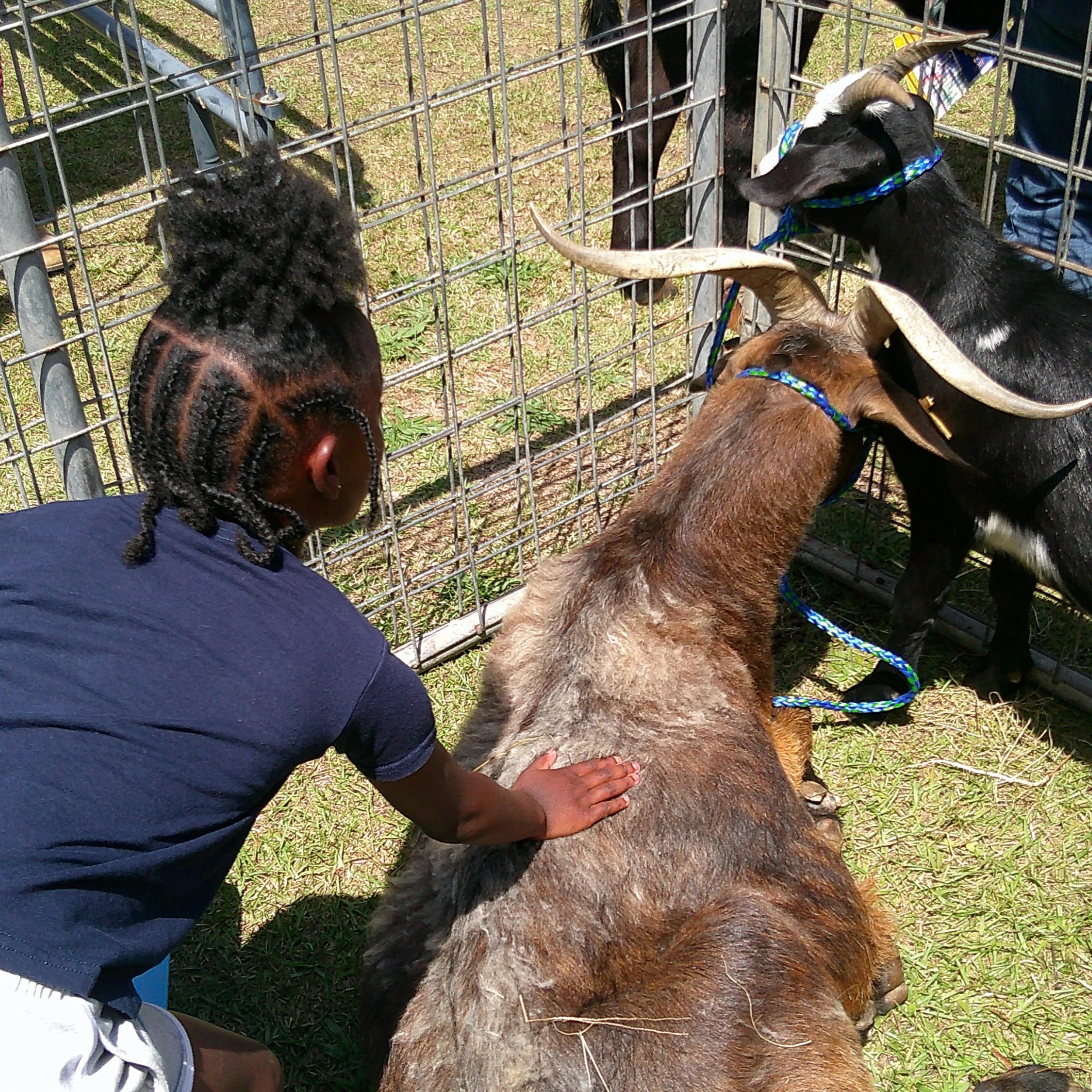 Earlier this month we attended a STEM day in Macon County, Al where students involved with 4H had an opportunity to engage in various STEM activities. Learning beyond the classroom is so important. Experience and exposure will always be two of our to