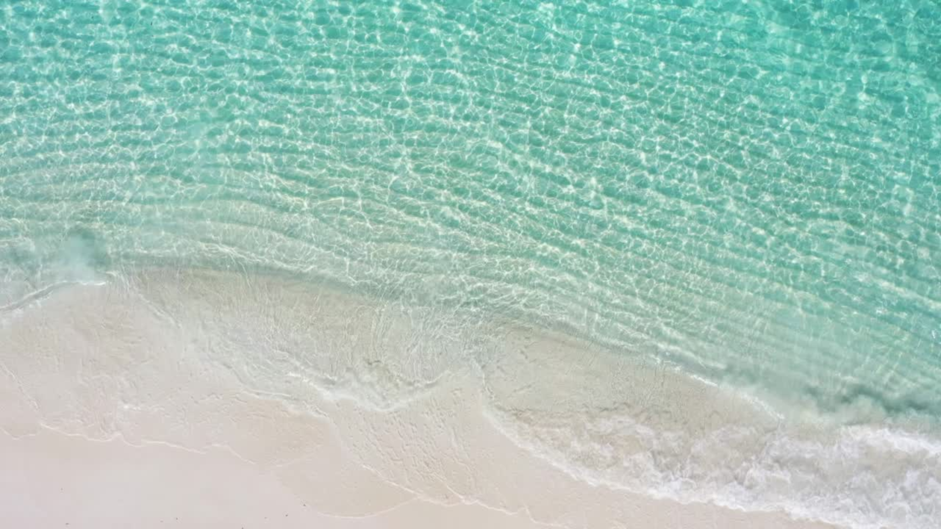 Homepage Video (2).png