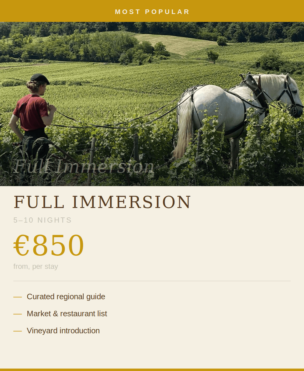 A person walking a white horse through a vineyard on a sunny day with rolling green hills in the background.