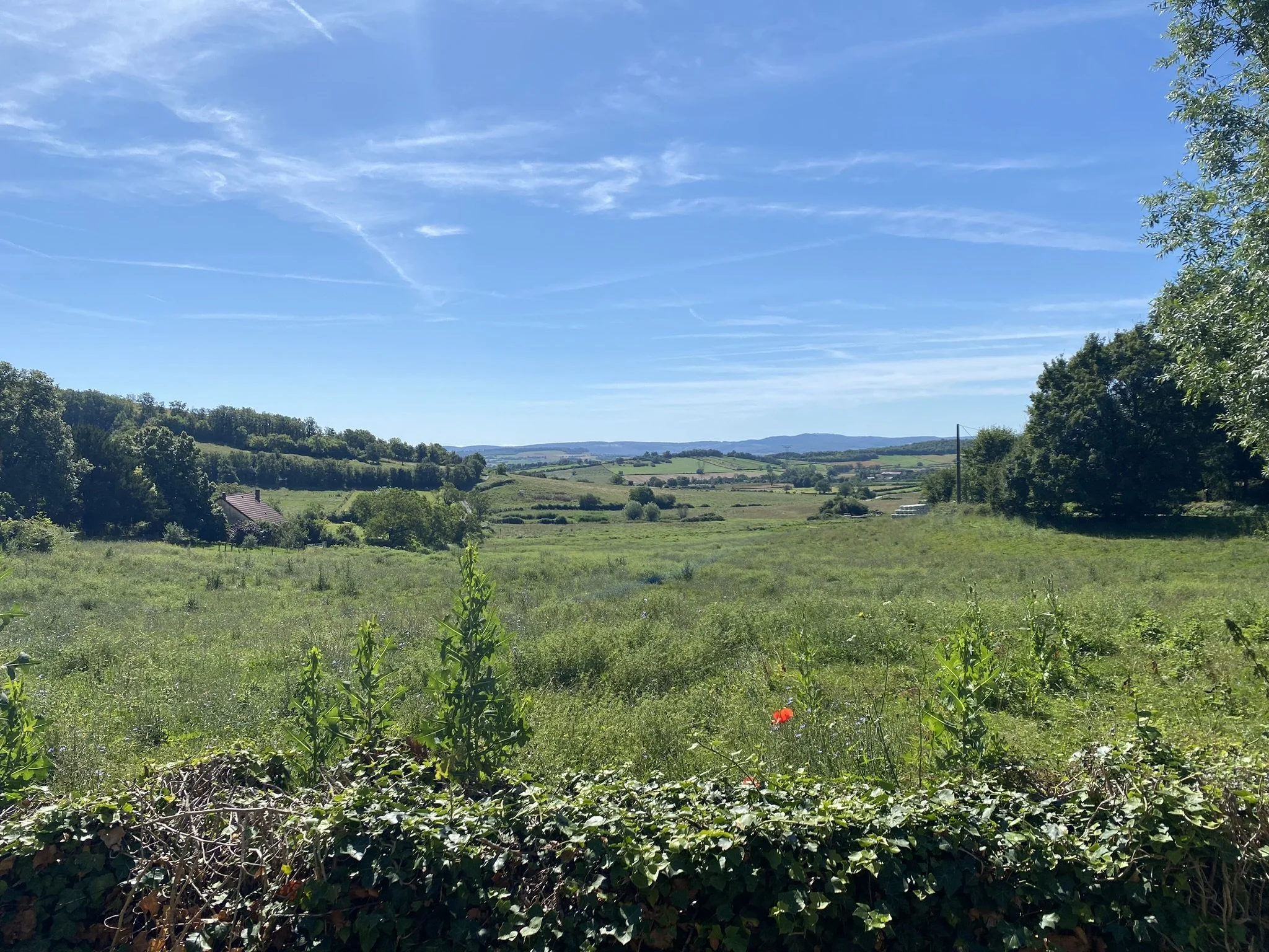 Open countryside and rolling hills near Recharge and Reconnect retreat, Burgundy