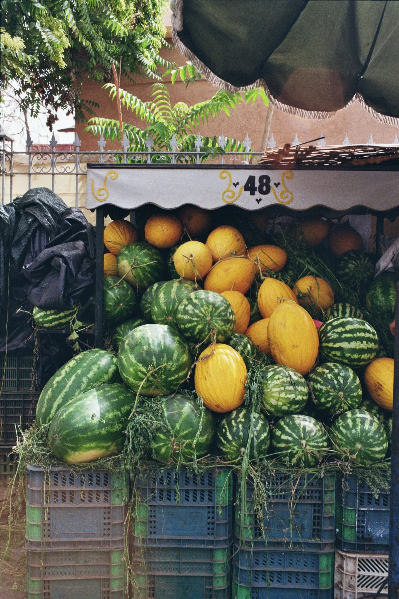 48 Melons, 2025