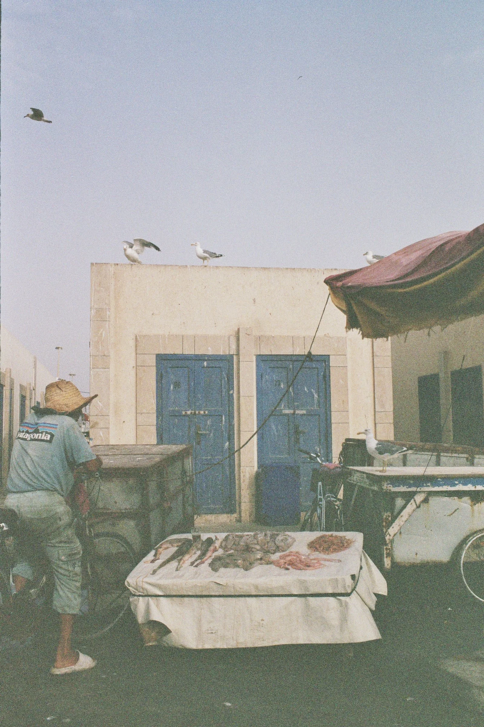Essaouira, 2025