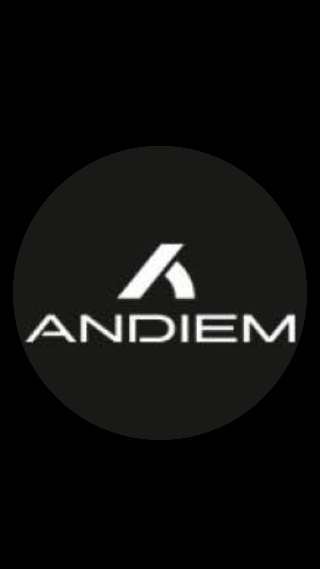 Andiem - basketball shoes