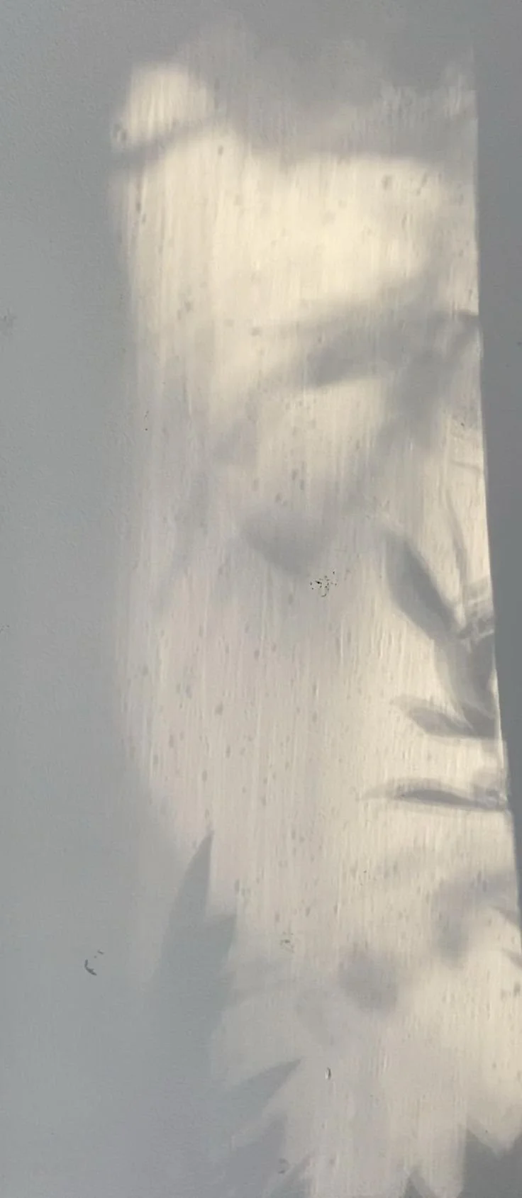 Reflection of a cat's face and paw on a textured surface.