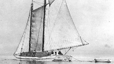 ALMA