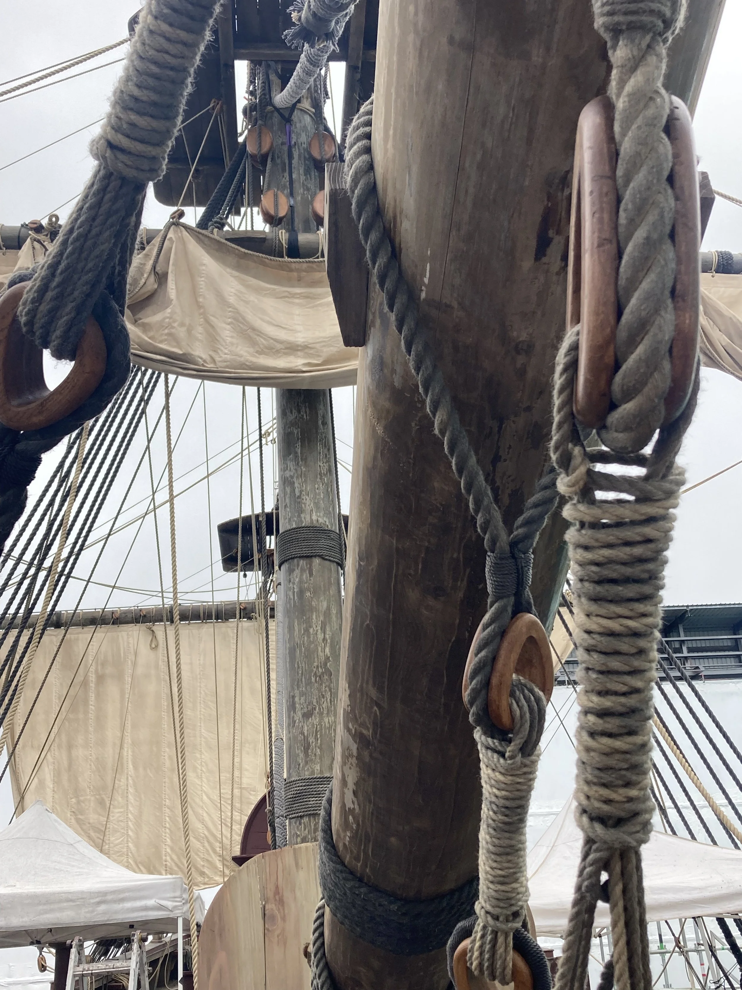 Chief of War: ENDEAVOUR