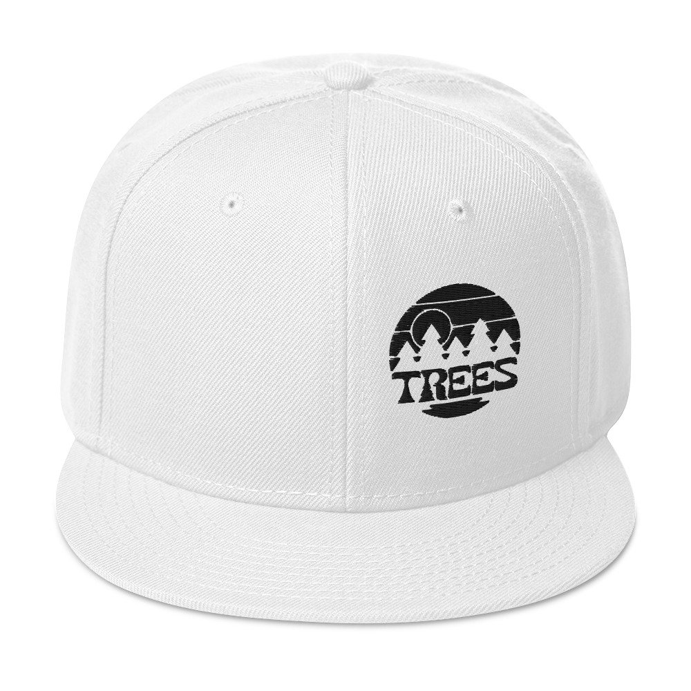 snapback-white-front-67574f0792e24.jpg