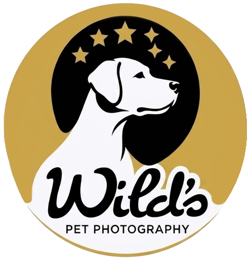 Wild's Pet Photography