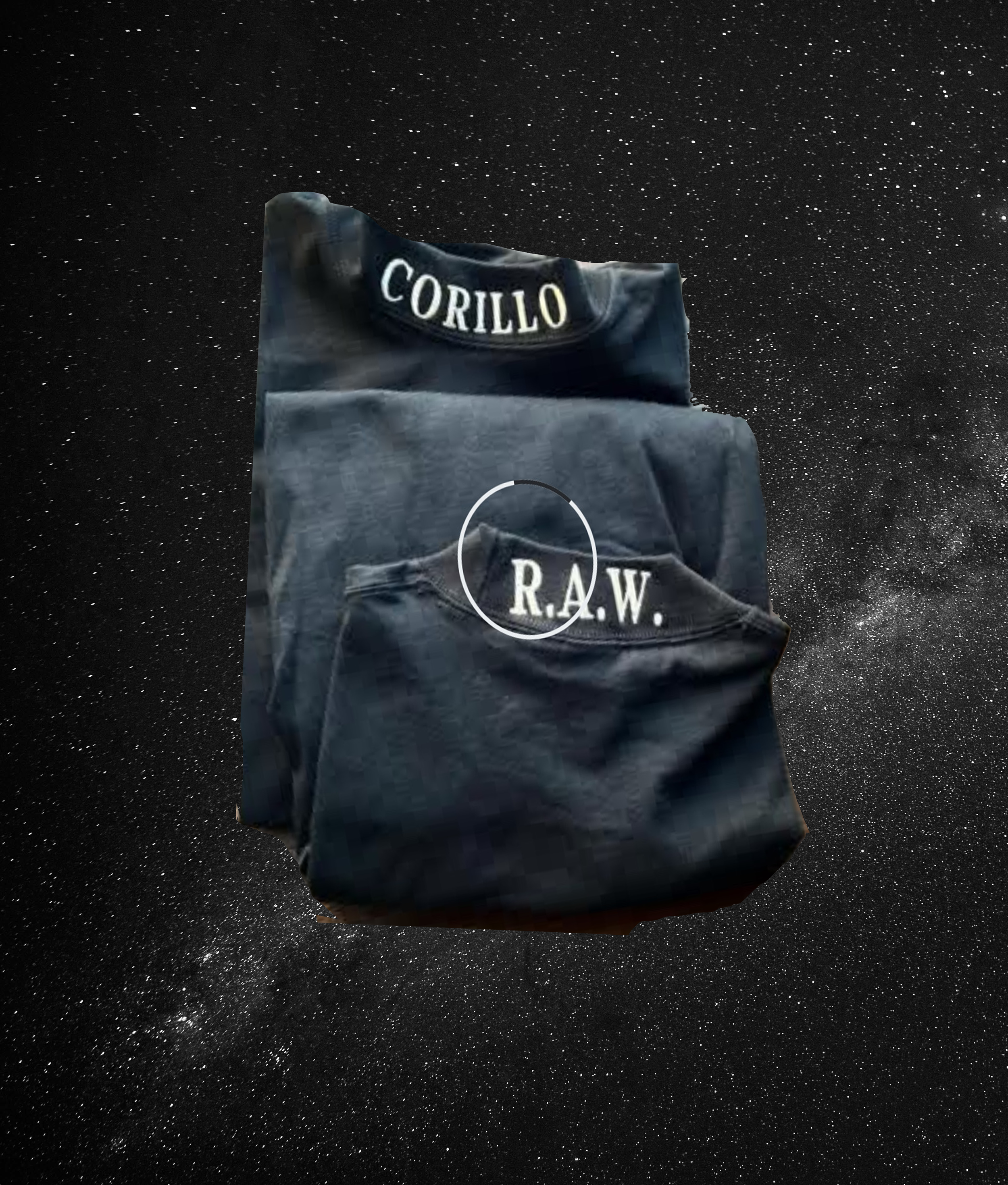 RAW.MERCH.WD_ 4.png