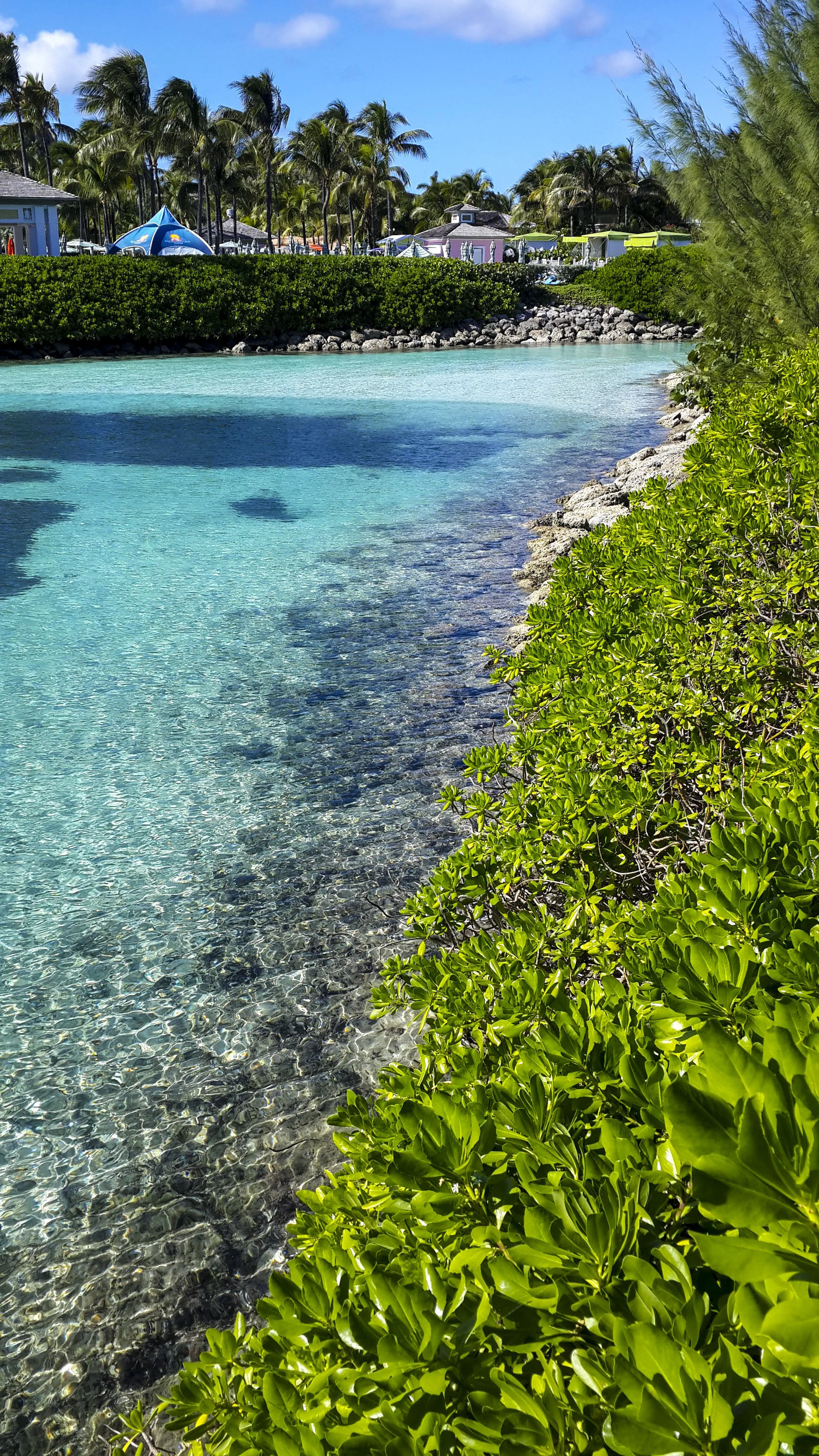 A tropical beach with clear turquoise water, green bushes along the shore, and palm trees in the background under a blue sky.