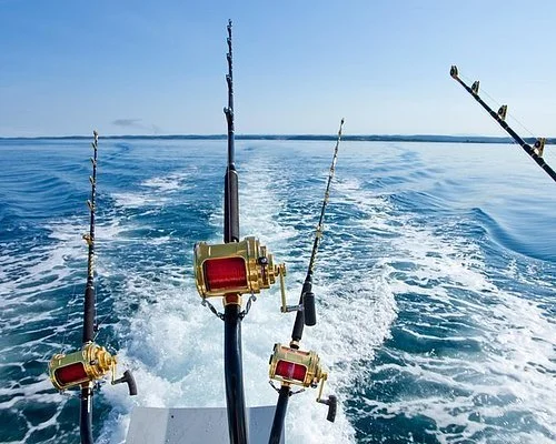 View from a boat with four fishing rods in holders, water trail behind, and a clear blue sky.