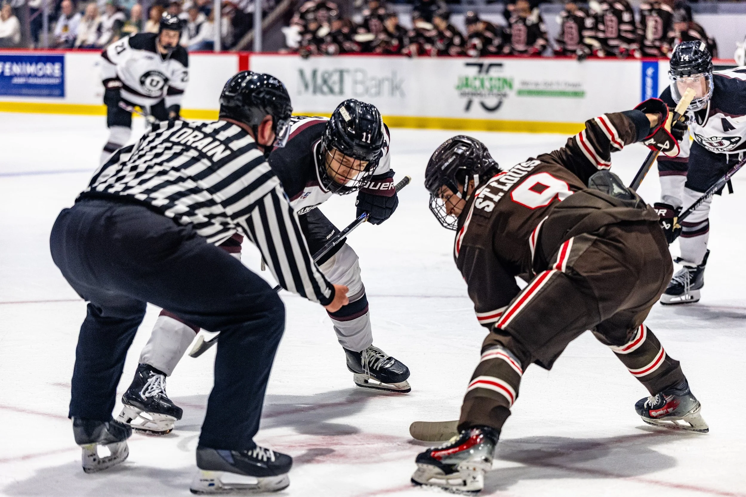 Hockey players face off in a game, with a referee ready to drop the puck.