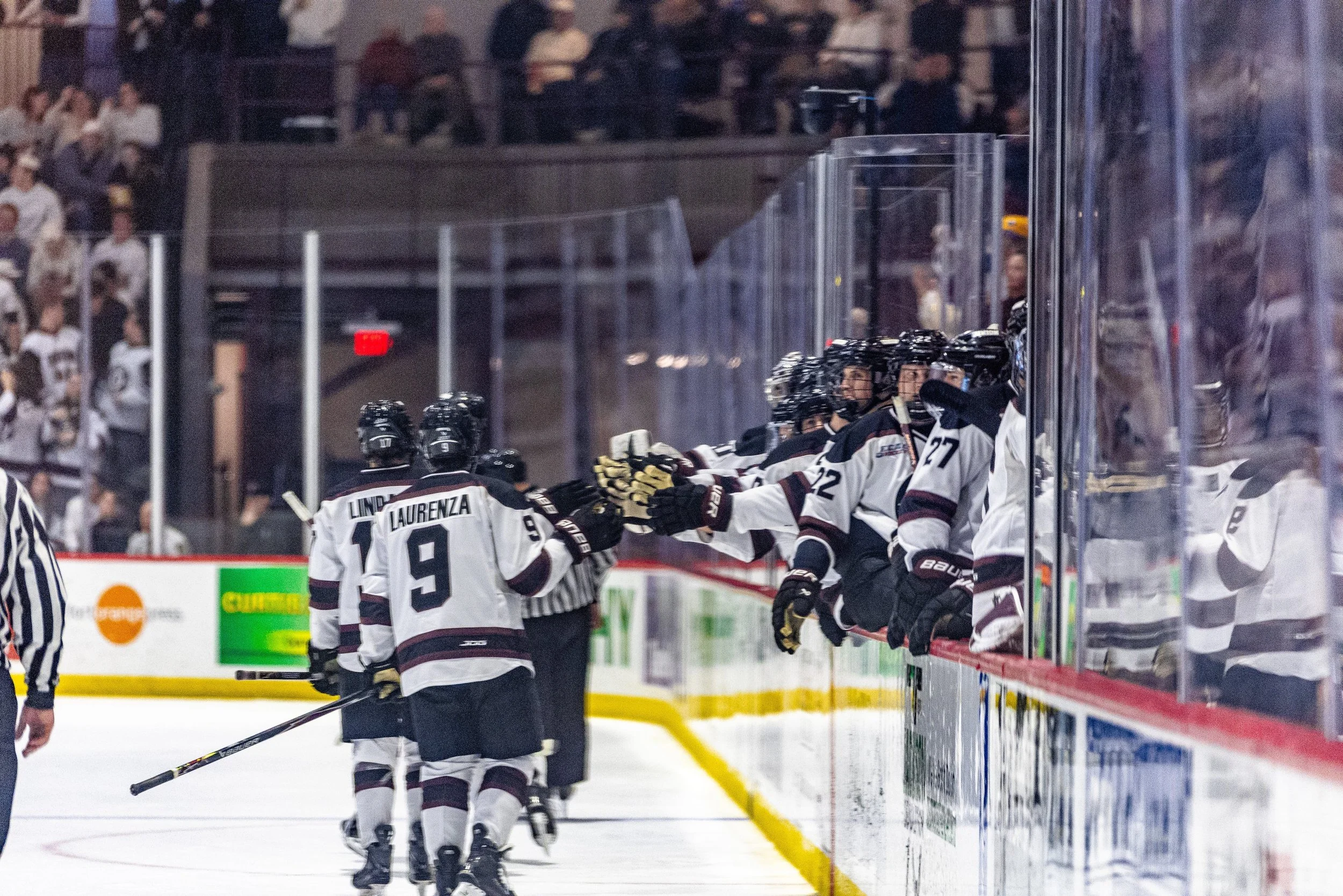 Hockey players in black and white jerseys celebrating on the ice rink with team members on the bench, surrounded by glass panels and spectators in the stands.