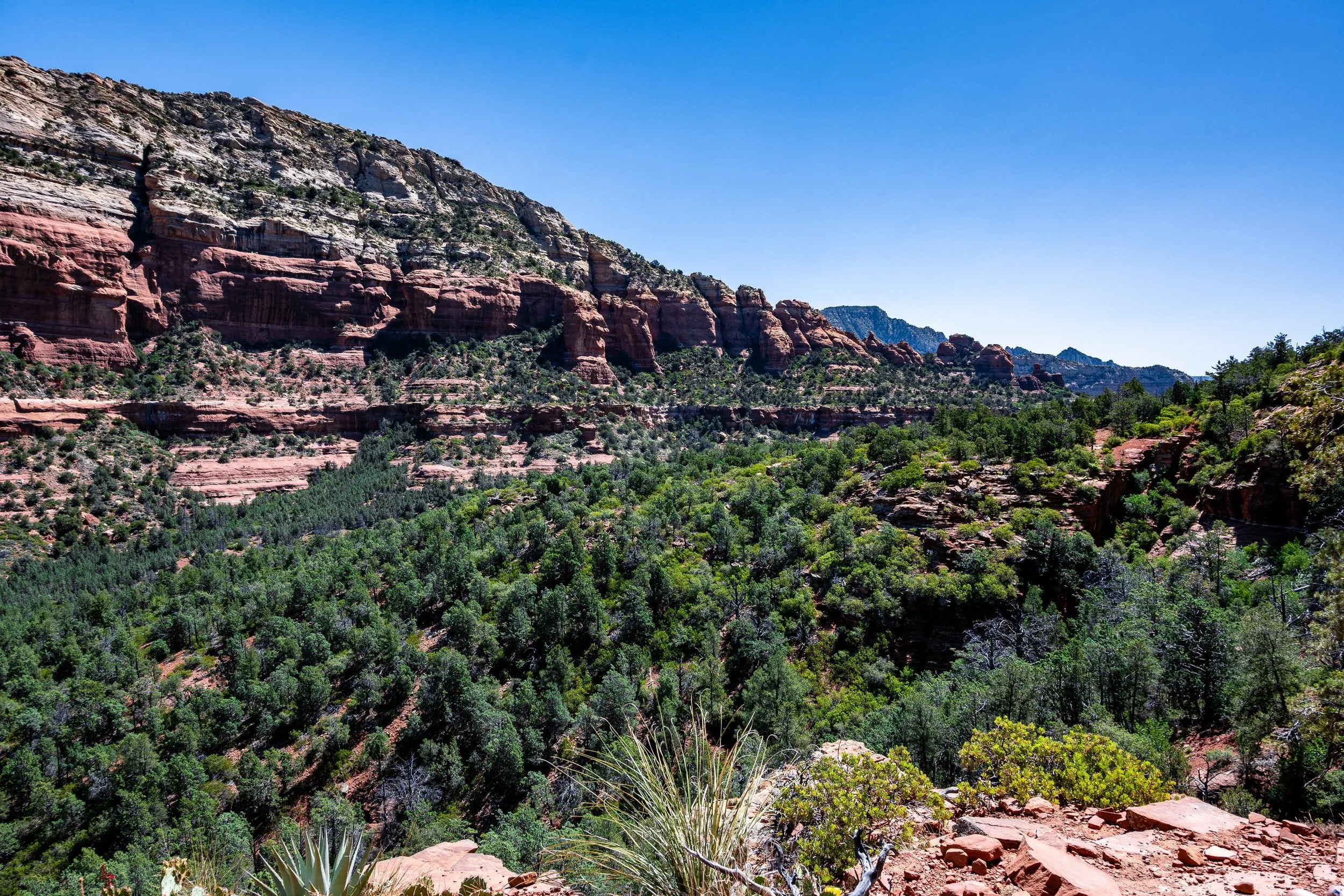 Scenic view of a canyon with rock formations and dense green trees under a clear blue sky.