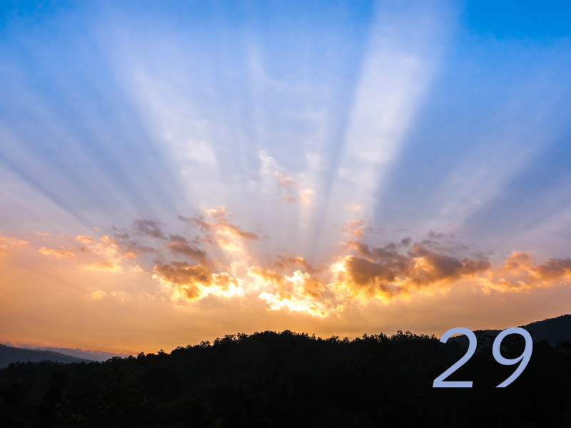 Episode 29 - The New Earth