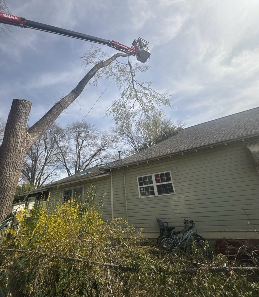 Fallen Tree Removal in Georgia and Surrounding states with 1Source