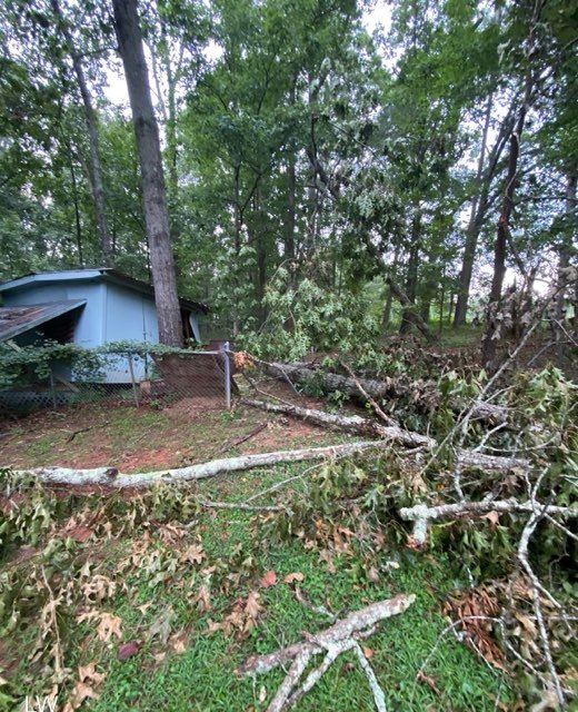 Best Tree Removal Service Storm Damage Fallen Tree Removal in Georgia and surrounding states with 1Source