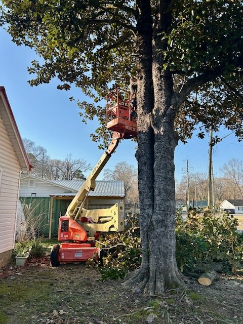 Boom Lift Near Rockmart, Georgia