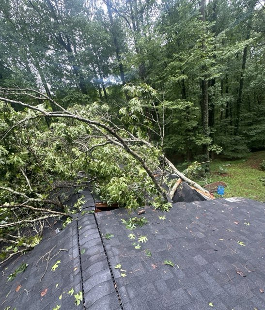 Best Tree Removal Service Storm Damage Fallen Tree Removal in Georgia and surrounding states with 1Source