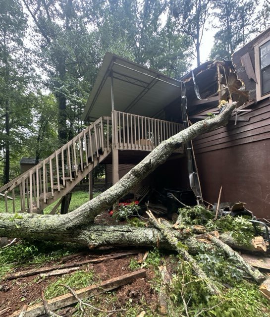 Best Tree Removal Service Storm Damage Fallen Tree Removal in Georgia and surrounding states with 1Source