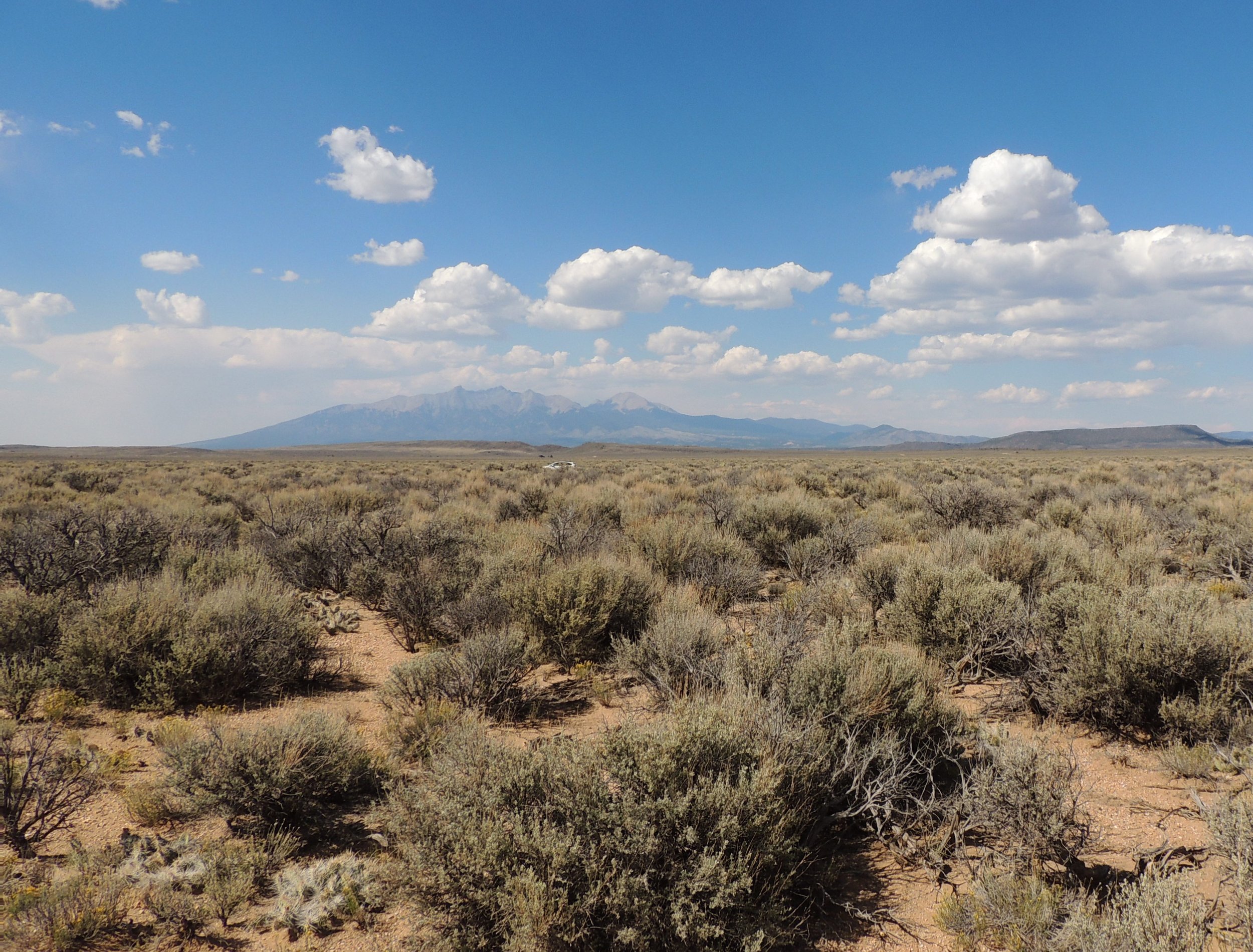 Panorama North_CL_Edited_20200819.jpg