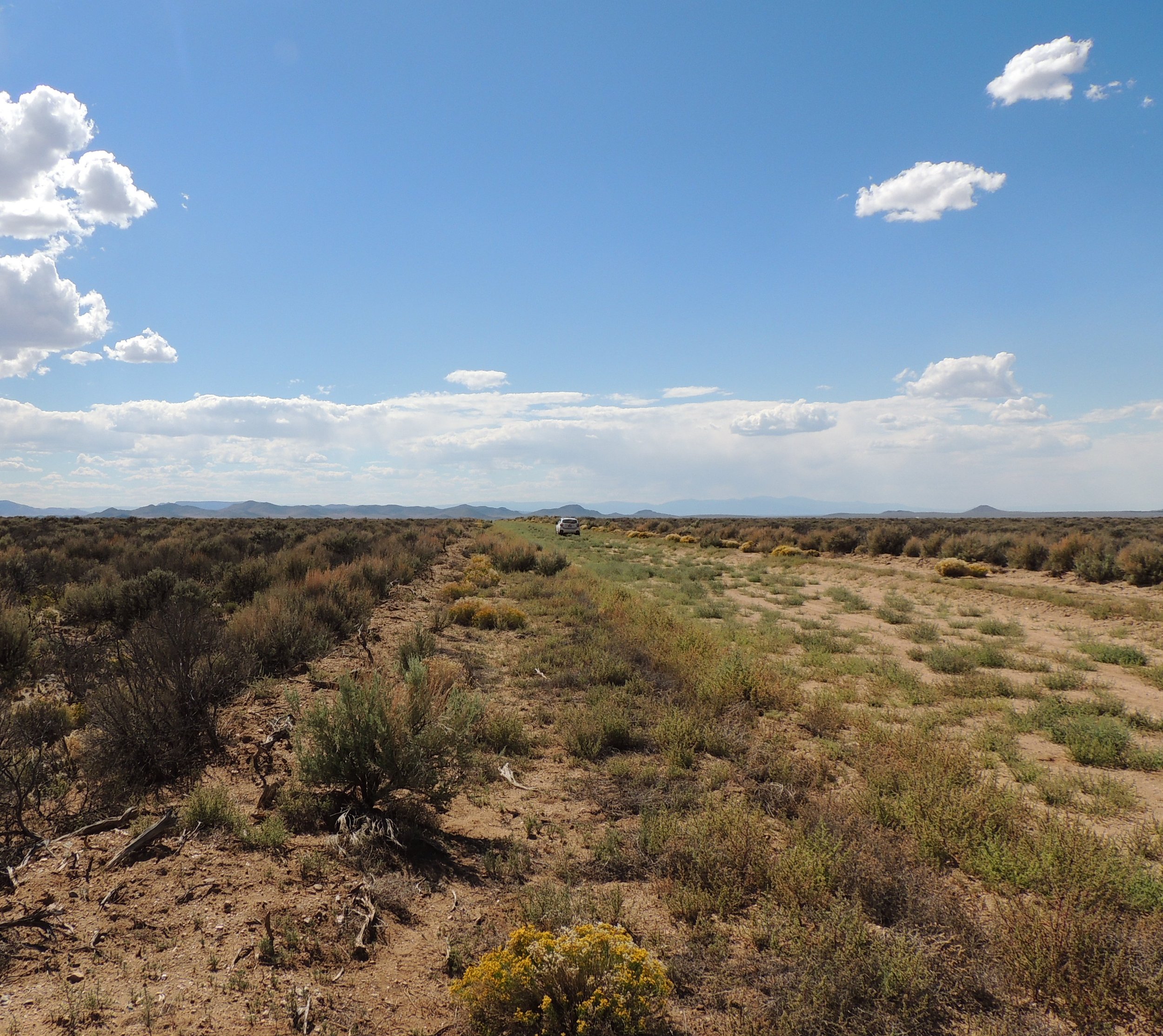 View west from Northeast corner_CL_Edited_20200820.jpg