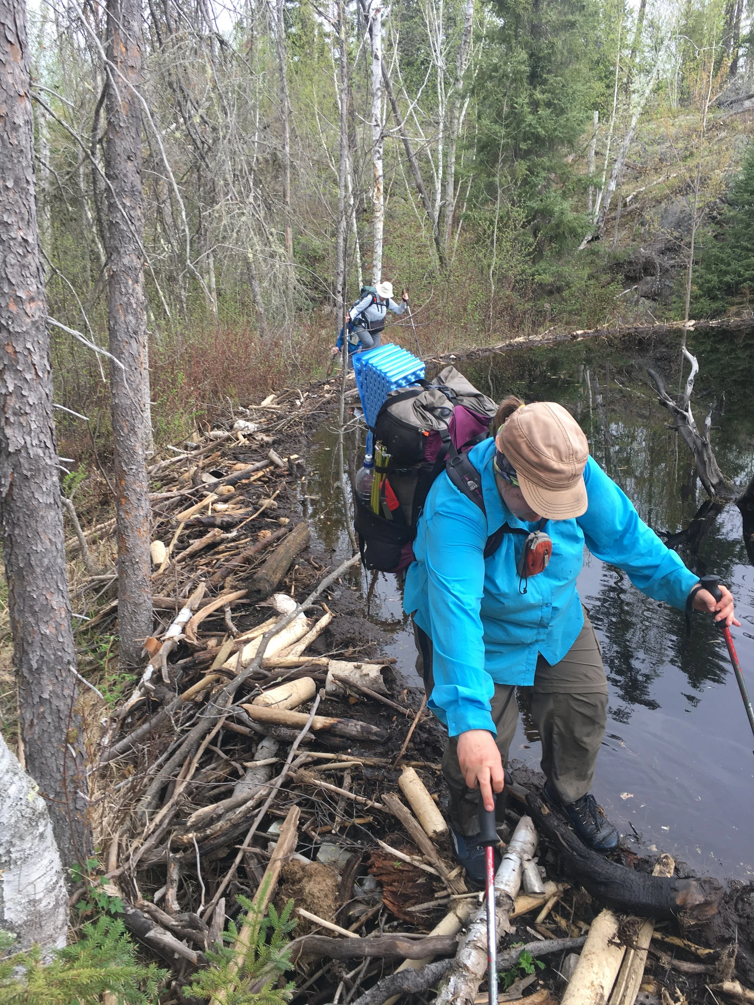 Backpacking Basics (online)